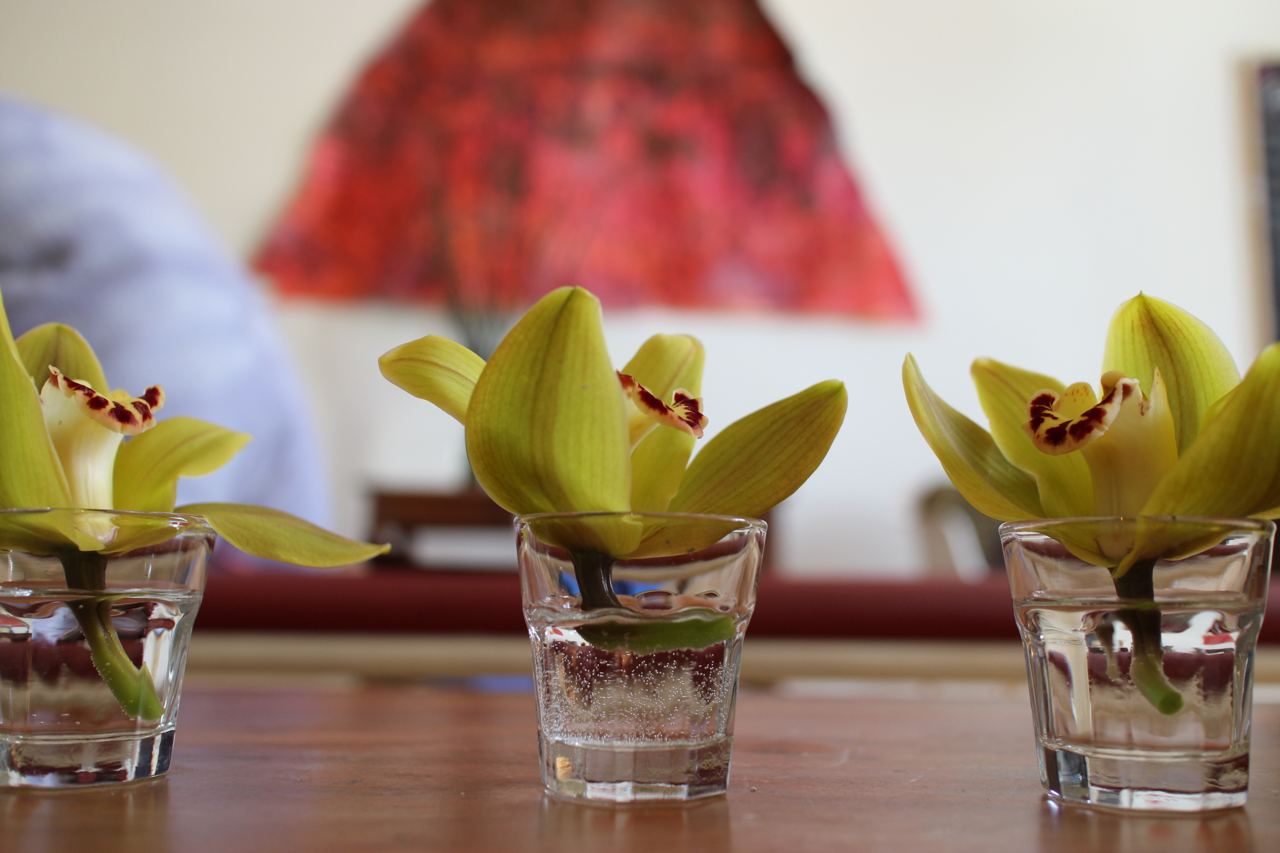 Ensoma Marion Pernoux