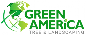 Green America Tree & Landscaping