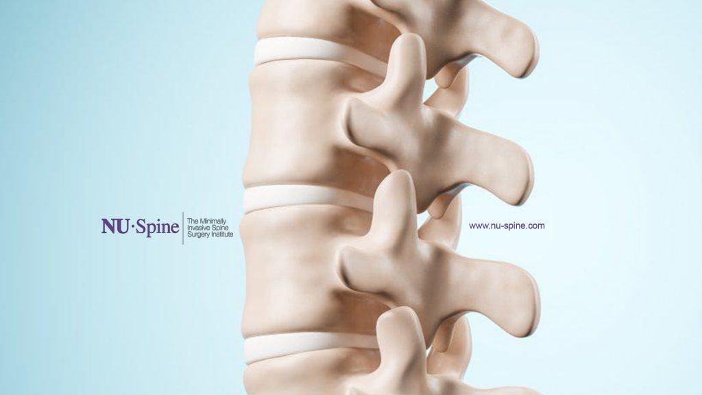 NU-Spine: The Minimally Invasive Spine Surgery Institute (Brick)