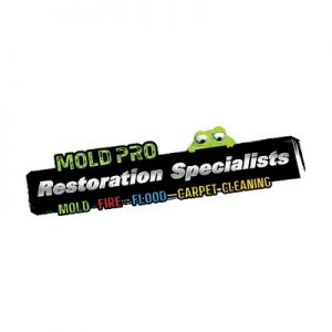 Mold Pro Water Removal Queens